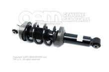 Amortyzator kompletny 420412019R