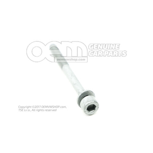 Śruba z łbem gniazdowym z łbem gniazdowym sześciokątnym (kombinacja) M6X60 N  10158203