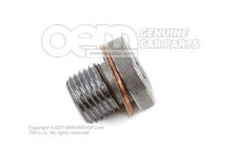 Śruba uszczelniająca (kombinacja) N  90281802 (2)