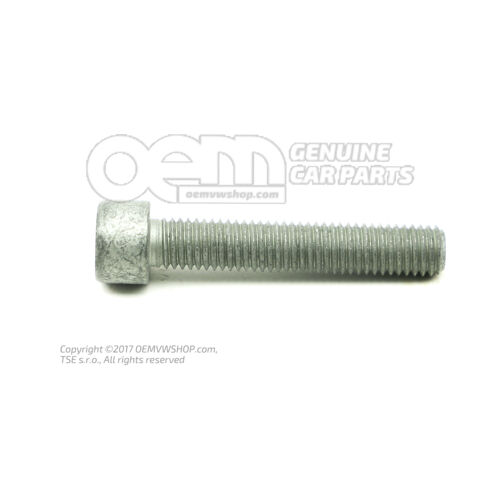 Śruba z łbem gniazdowym z wewnętrznym łbem wielopunktowym M10X55 N  10667901