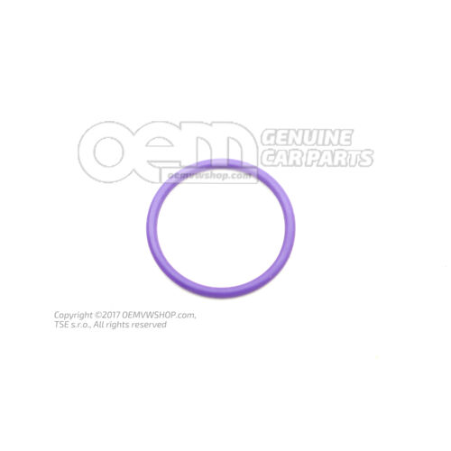 O-ring 1H0820749G