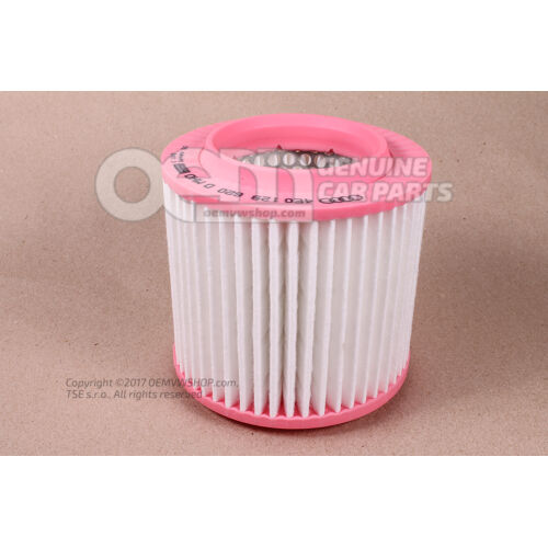 Element filtra powietrza 4E0129620D