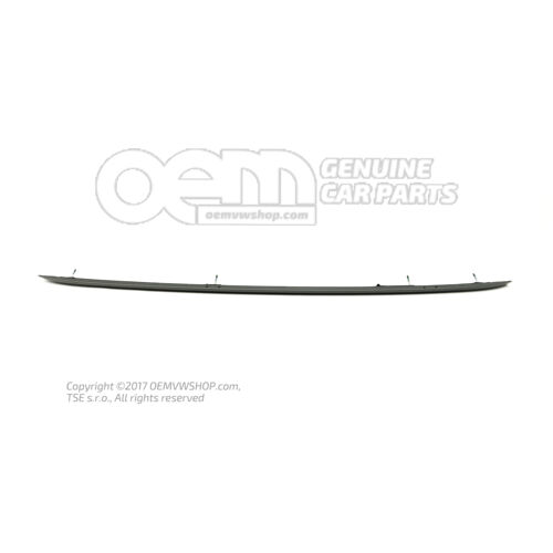 Reling dachowy tytanowy szary Audi RS6/RS6 plus/Avant Quattro 4G 4G9860022E MI7
