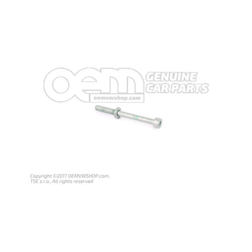 Śruba z łbem gniazdowym z łbem gniazdowym sześciokątnym (kombinacja) M6X65 N  10099303