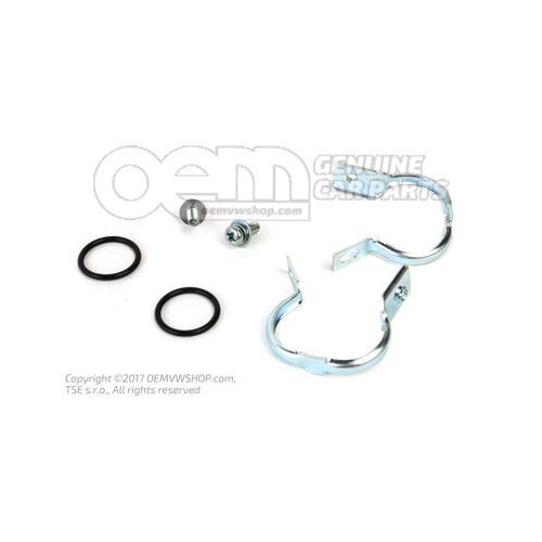 O-ring 4B0819380