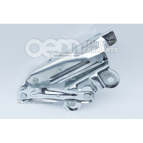 Zawias pokrywy 3V0823302