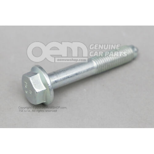 Śruba sześciokątna N  10087403