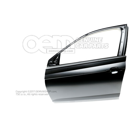 Drzwi 2G4831051P