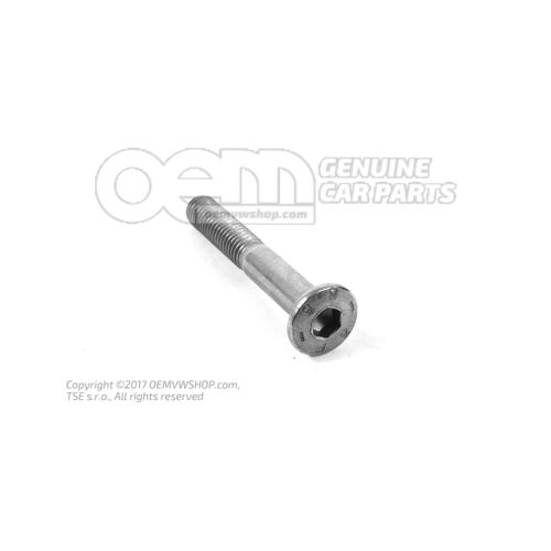 Śruba z łbem wpuszczanym owalnym M8X58 N  10299503