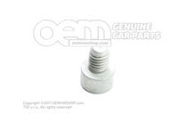 Śruba z łbem gniazdowym z łbem sześciokątnym N  10313302 (1)