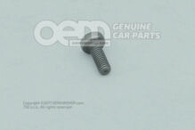 Śruba z łbem gniazdowym owalnym sześciokątnym N  10451401