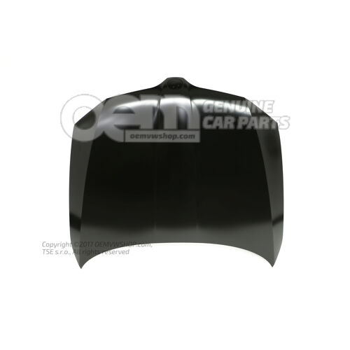 Czapeczka 3T0823031B