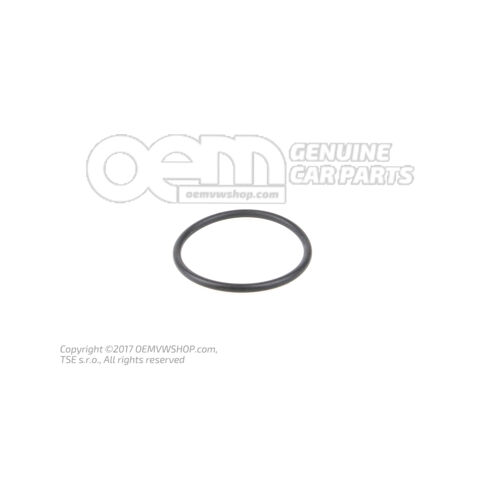 O-ring 4E0615137