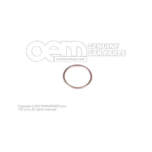 O-ring 21X2 N  90951301