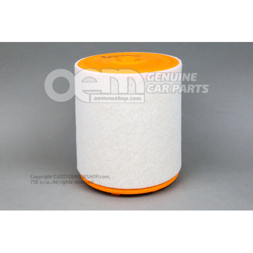Element filtra 4G0133843L