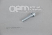 śruba N  10022701 (1)