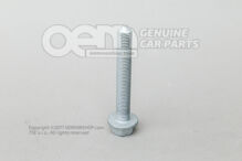 Śruba z kołnierzem sześciokątnym N  10784701 (2)