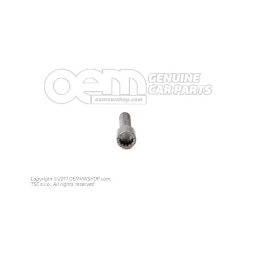 Śruba z łbem wielokątnym N  10559901