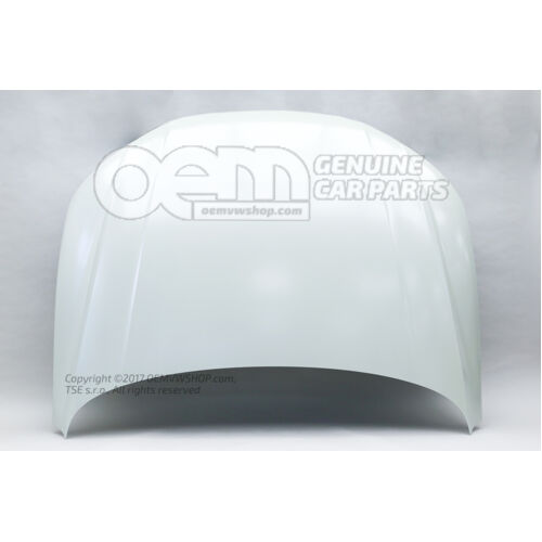 Maska zagruntowana 80A823029  STL