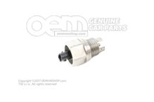 Czujnik temperatury 8T0919565