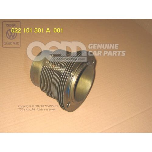 cylinder 022101301A 001