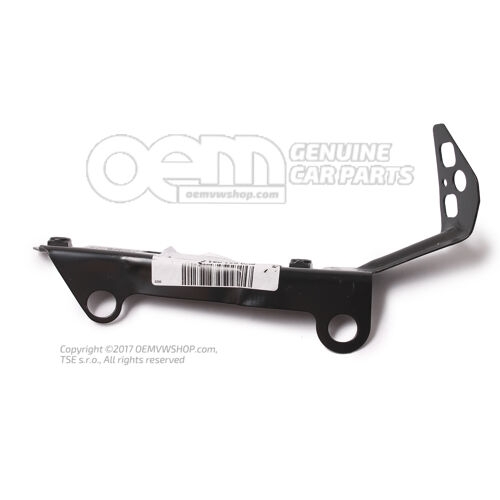 Element zamykający 8V0821091C