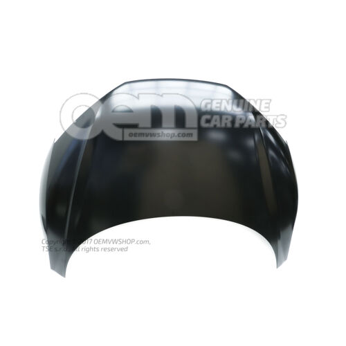Czapeczka 4S0823021D