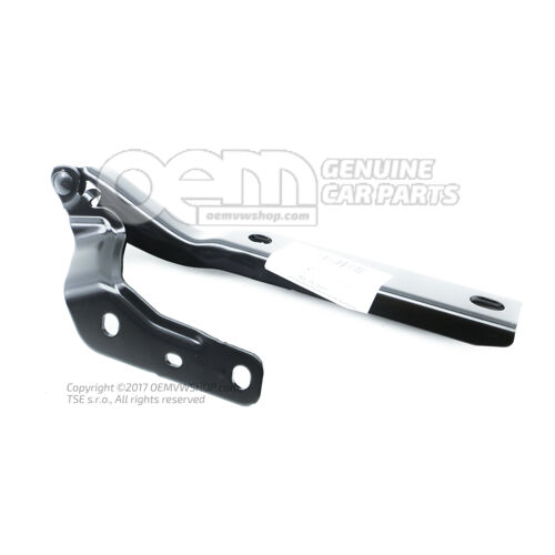 Zawias pokrywy 5FA823302