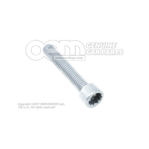 Śruba z gniazdem wielokątnym, łeb. N  10521102