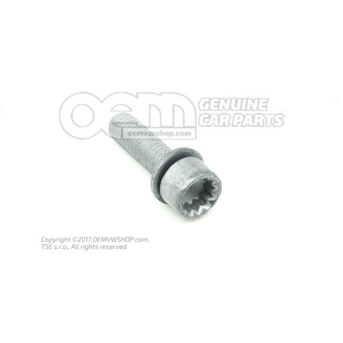 Śruba imbusowa z łbem wewnętrznym wielopunktowym (Kombi) N  10720901