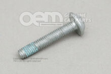 Śruba z łbem gniazdowym owalnym sześciokątnym N  10704501 (1)