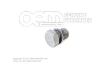 Śruba uszczelniająca z uszczelką, pierścieniem N  90813202 (5)