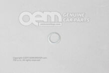 Pierścień uszczelniający N  0138133 (1)