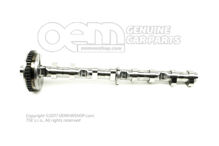 Wał rozrządczy 06H109021K (1)