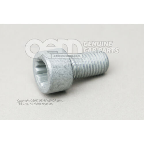 Śruba mocująca cylinder z wewnętrznym łbem wielopunktowym N  91175601
