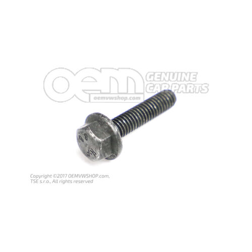 Śruba z łbem sześciokątnym (kombi) M6X25 N  10285601