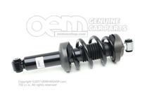 Amortyzator kompletny 420412019AC