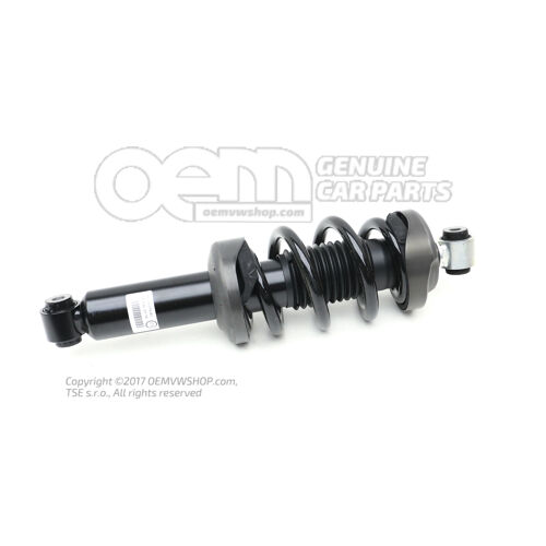 Amortyzator kompletny 420412019AC