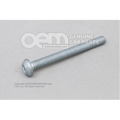 Śruba z łbem gniazdowym owalnym M6X56 N  10616501