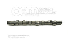 Wał rozrządczy 062109101A (1)