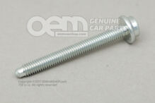 Gniazdo hd. śruba z gniazdem wielokątnym N  10530304 (1)