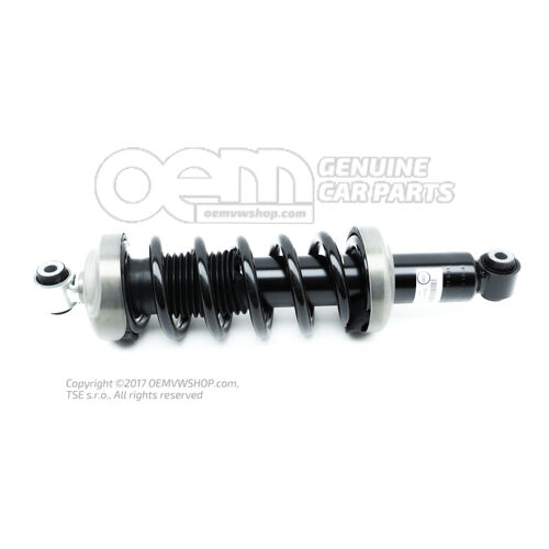 Amortyzator kompletny 420512019R