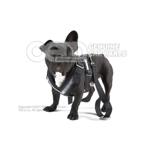 Pas ochronny dla psa 000019409D