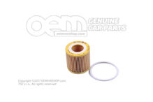 Element filtrujący z uszczelką 03D198819C