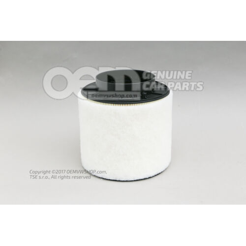 Element filtra powietrza 8K0133843D