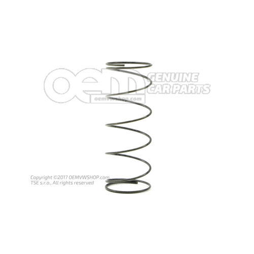 wiosna 431711199A