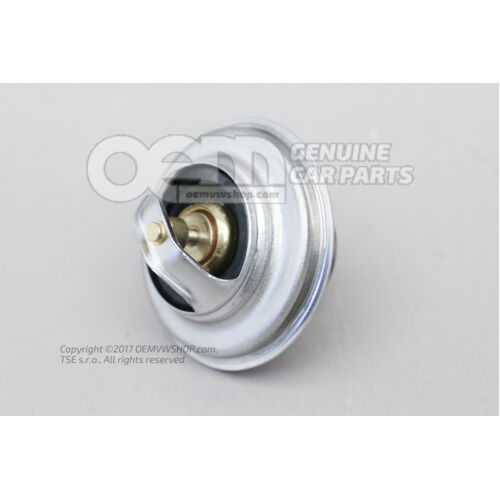 termostat 025121113F