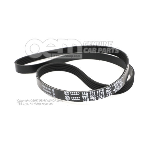 Keilrippenriemen dla Passata B5/B5GP 06B903137E