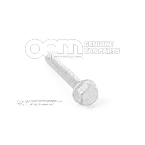 Śruba z kołnierzem sześciokątnym M10X70 N  10290206