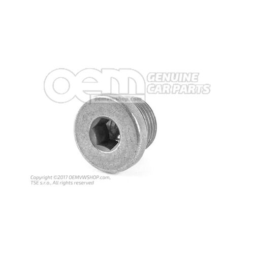 Korek uszczelniający M18X1,5 N  0160293